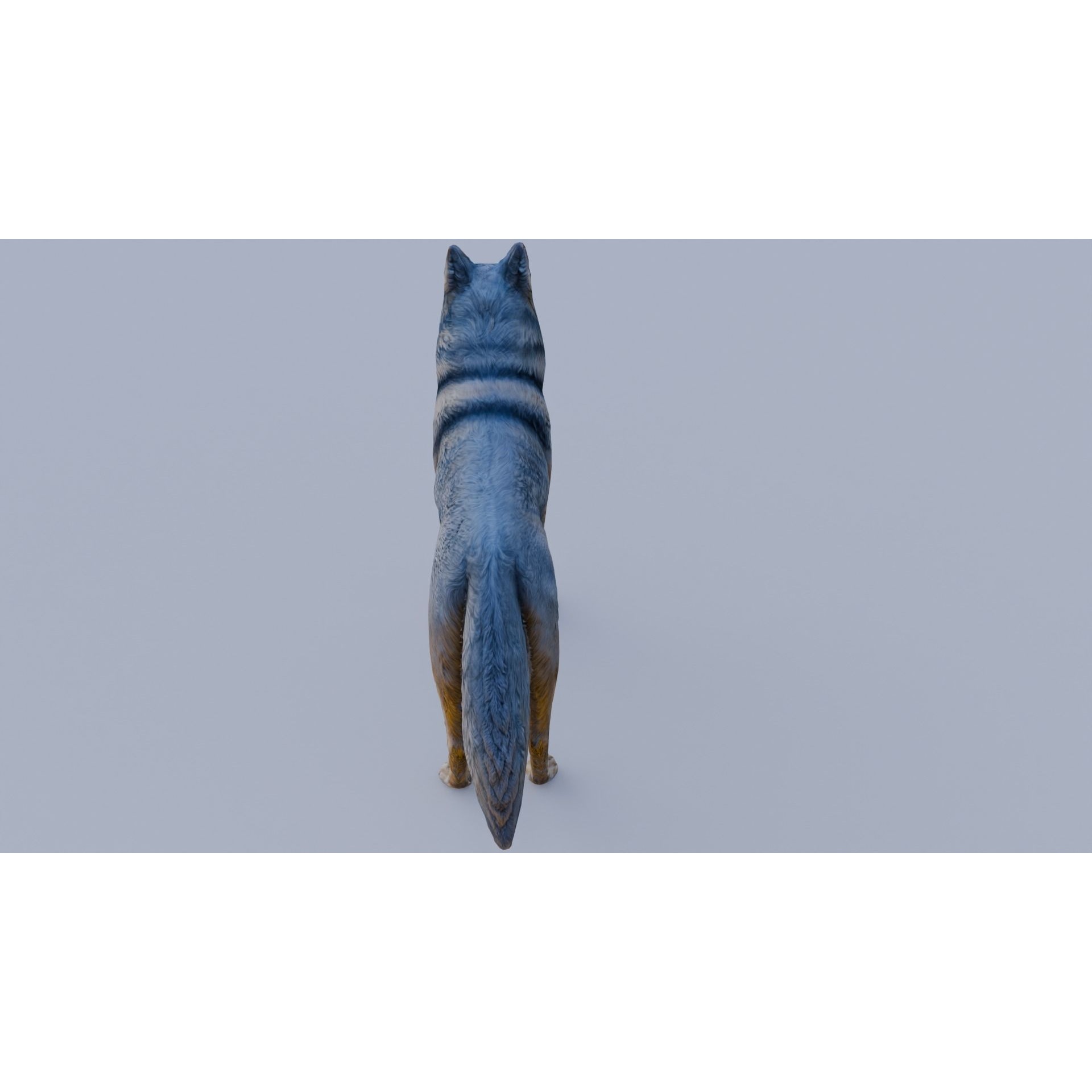 Wolf King Free 3D model 5