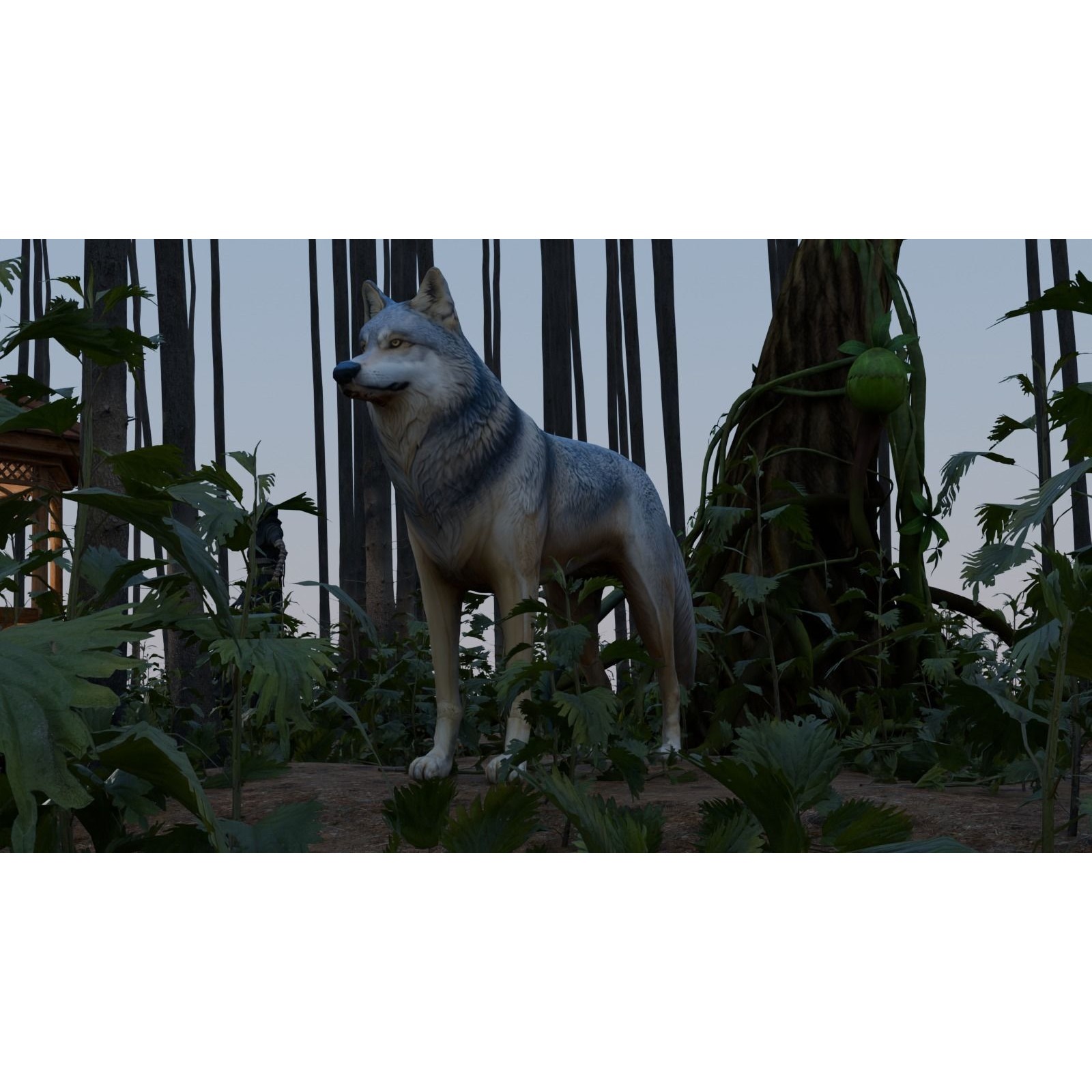 Wolf King Free 3D model 7