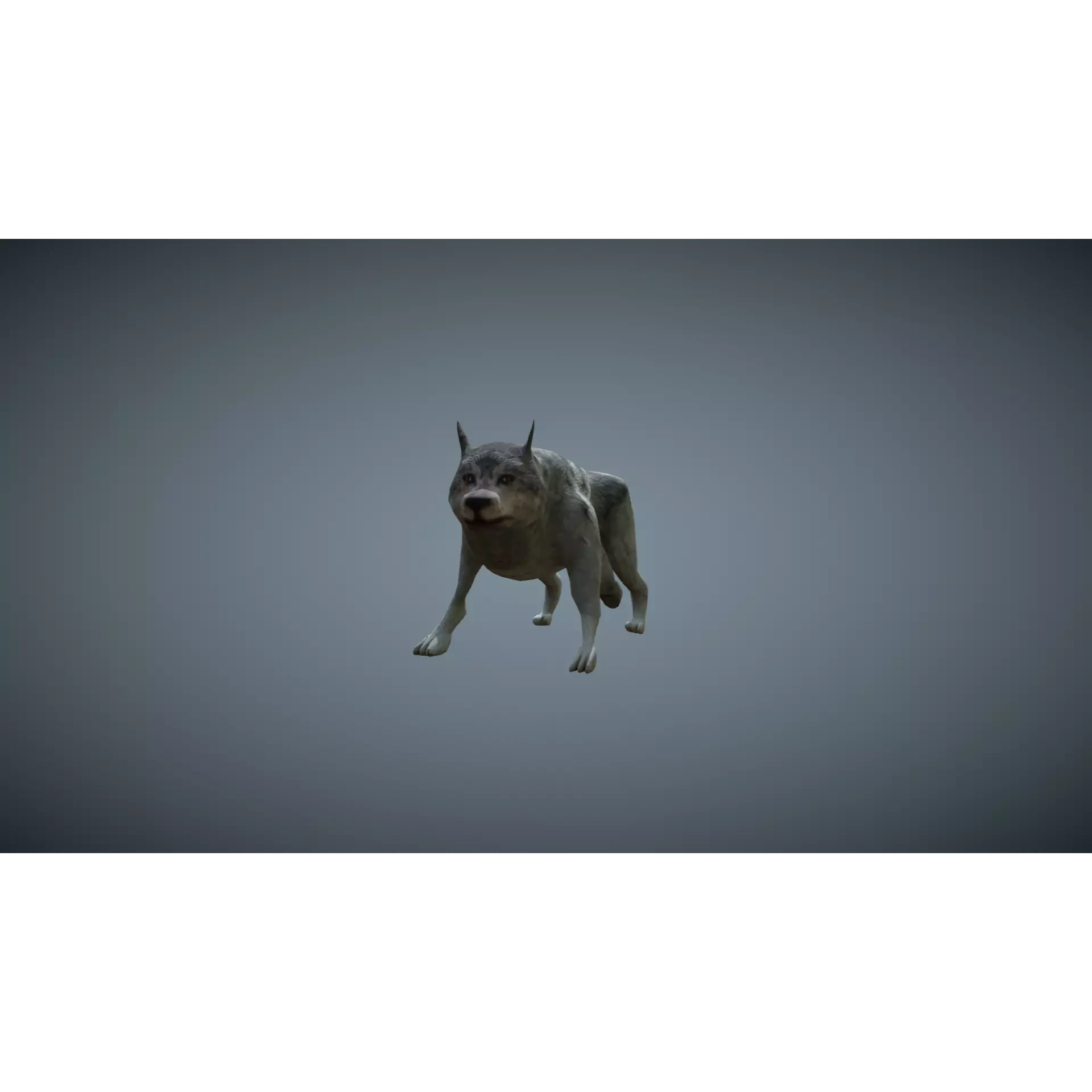 Wolf - low-poly model dog running Free low-poly 3D model