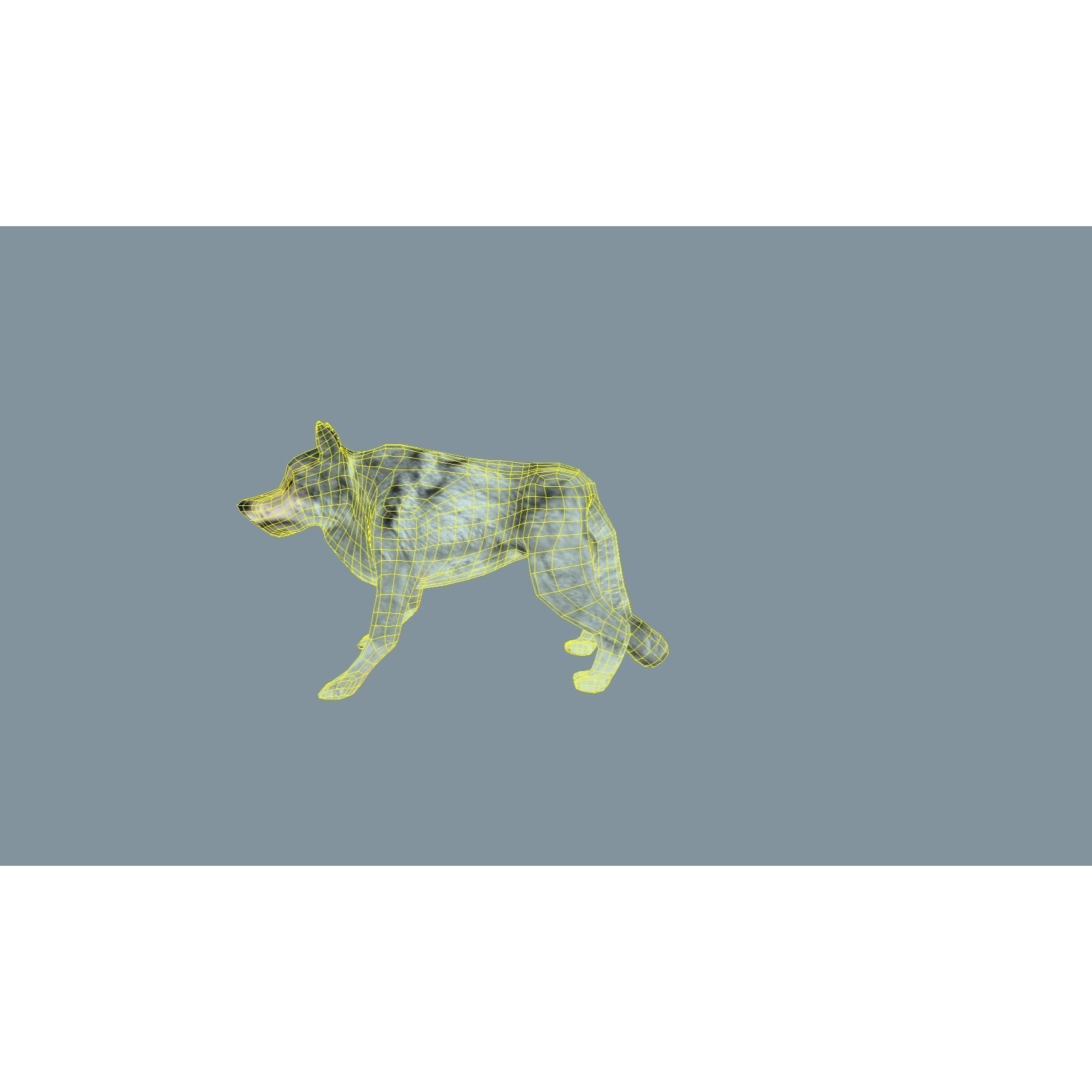 Wolf - low-poly model dog running Free low-poly 3D model 5
