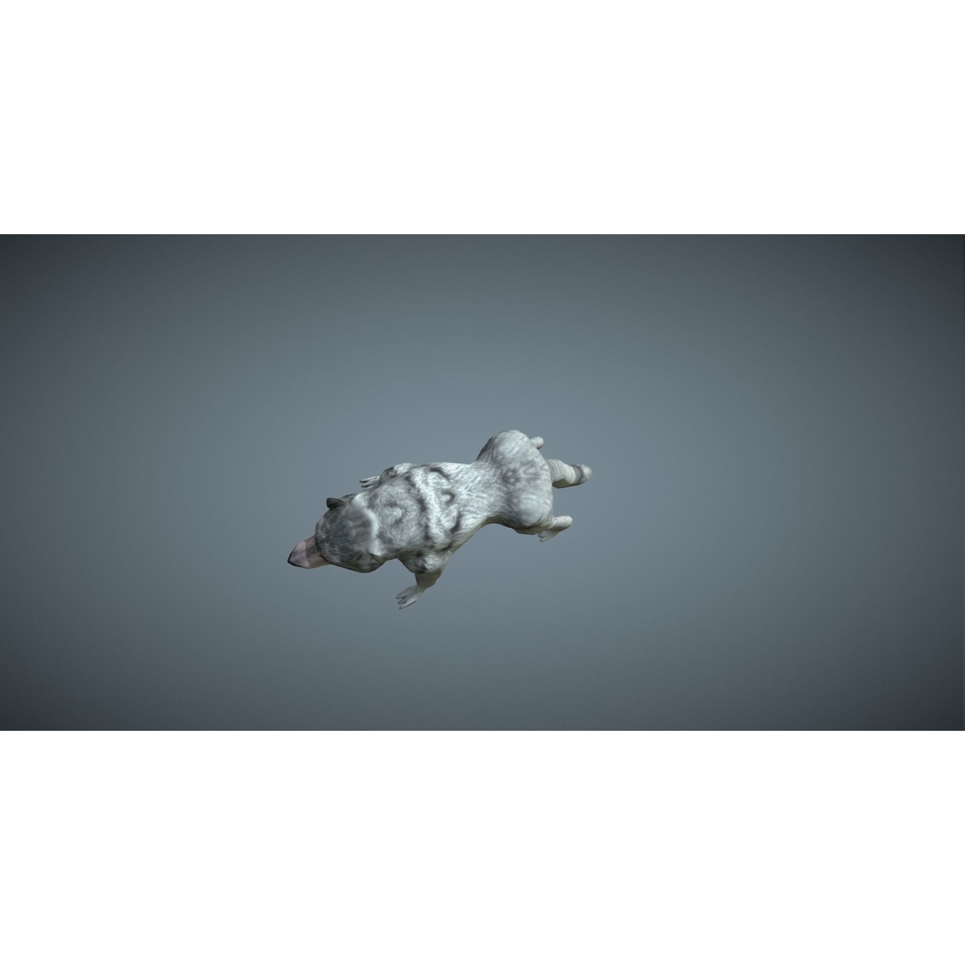 Wolf - low-poly model dog running Free low-poly 3D model 8
