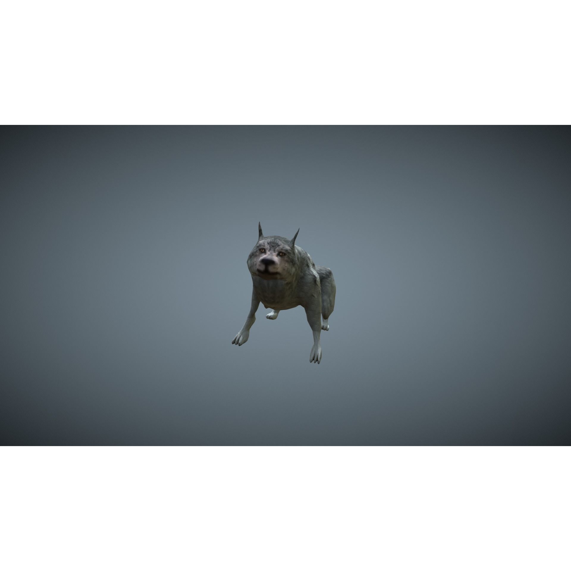 Wolf - low-poly model dog running Free low-poly 3D model 10