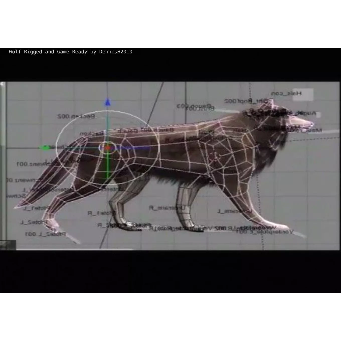 Wolf Rigged Animated and Game Ready Free low-poly 3D model