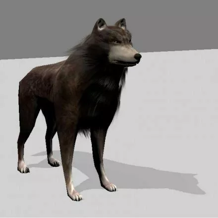 Wolf Rigged Animated and Game Ready Free low-poly 3D model 6