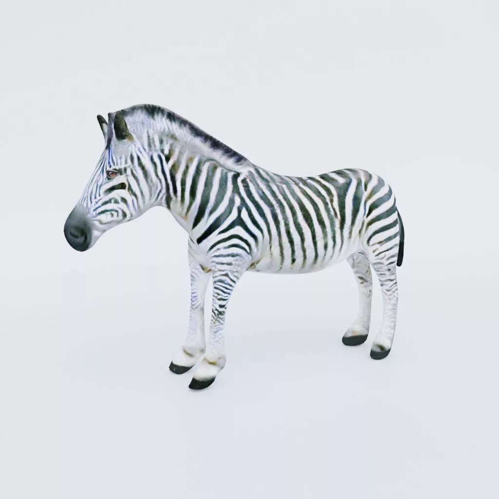 Zebra Free 3D model