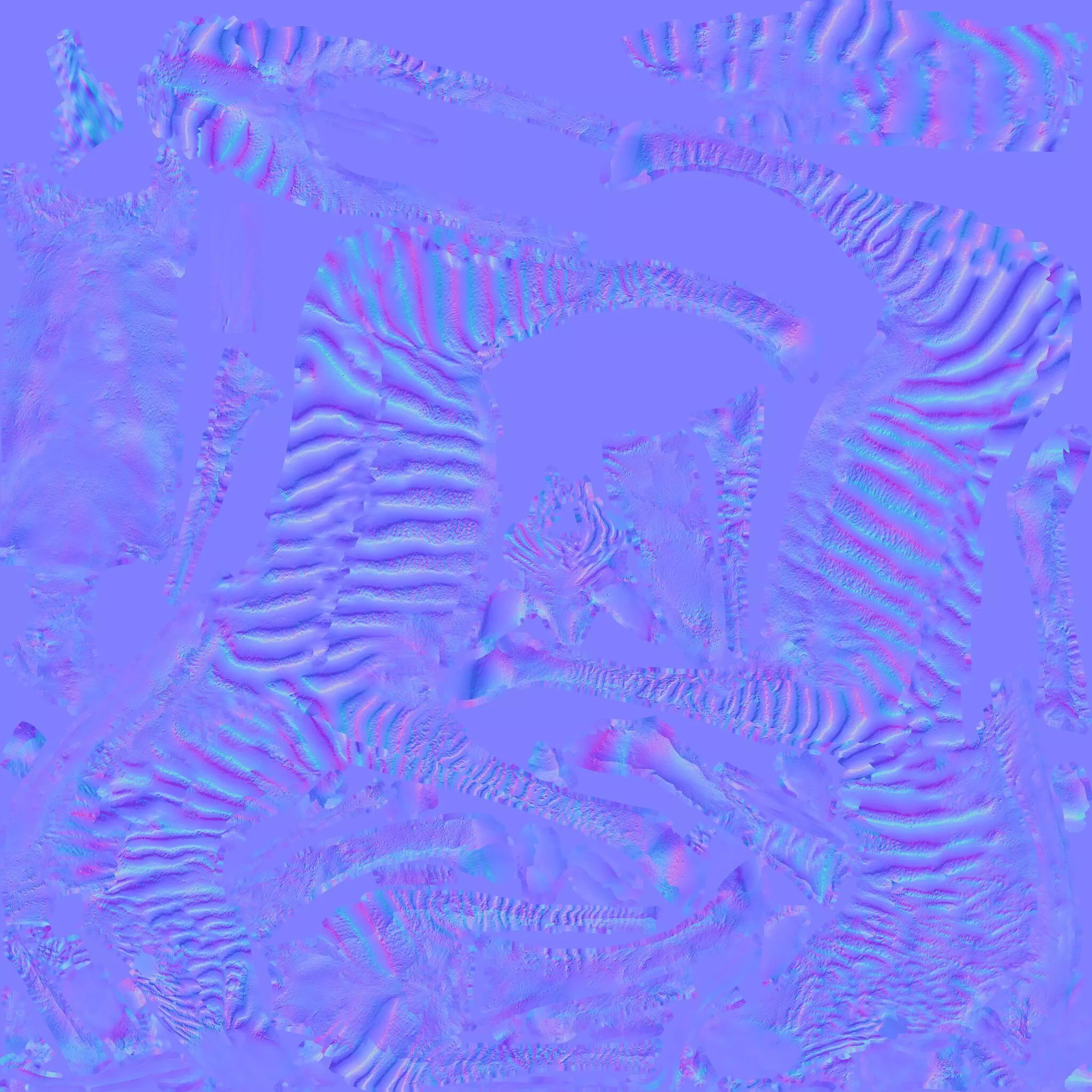 Zebra Free 3D model 8